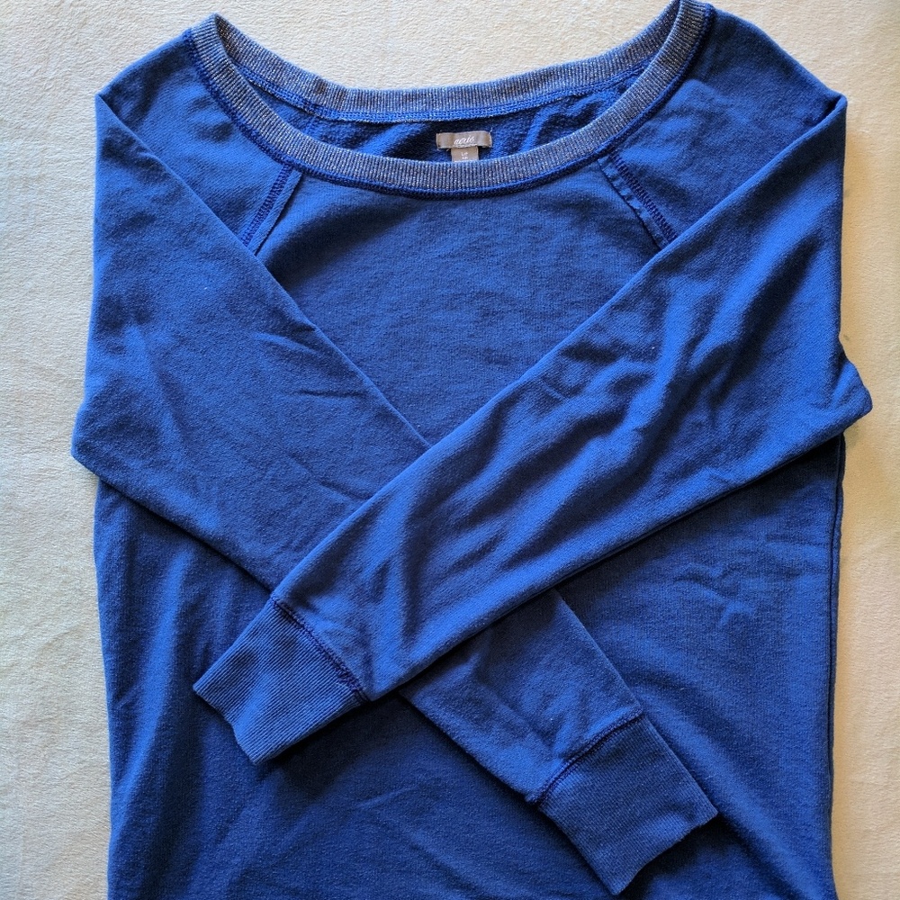 Aerie crew sweater (small)